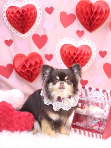 20240229フェルくん